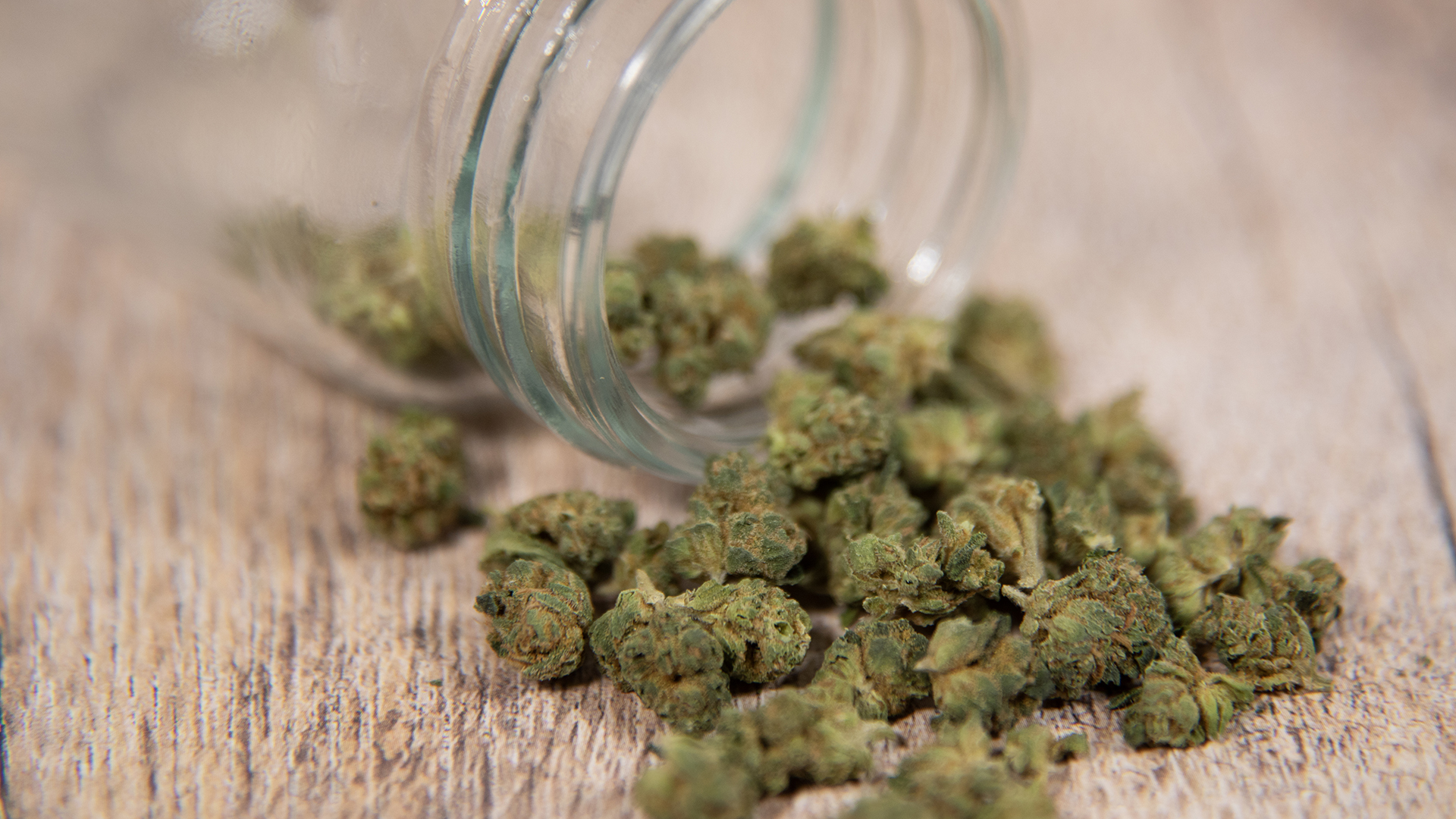 Does the Cold Really Make Cannabis Hit Differently? The Truth Behind the Sensation